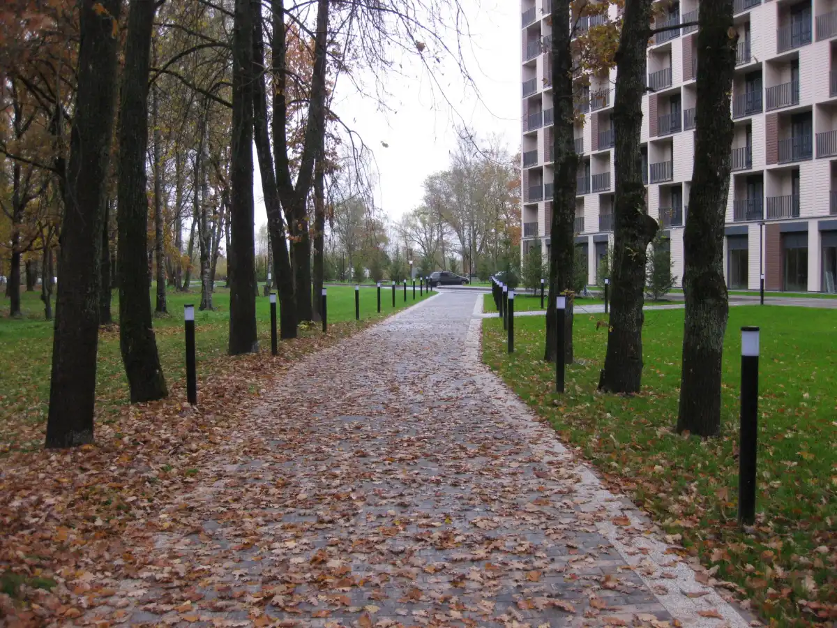 20-26.10.2025 Лента новостей