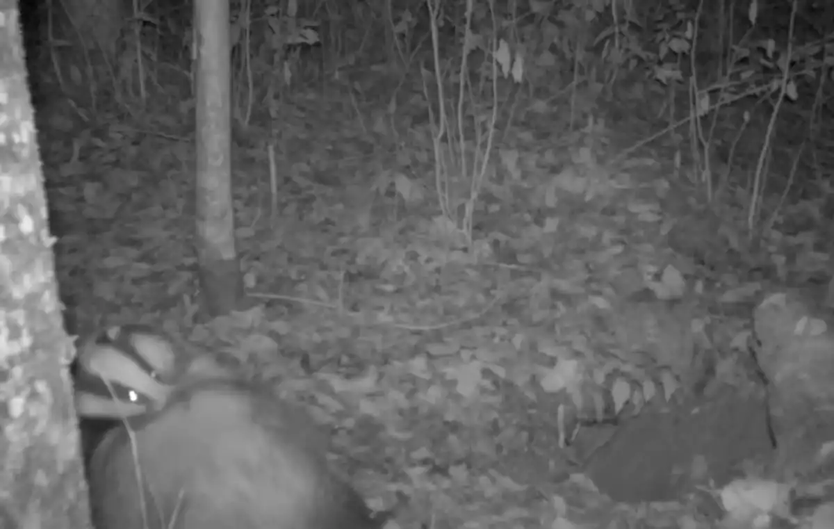 20-26.10.2025 Лента новостей