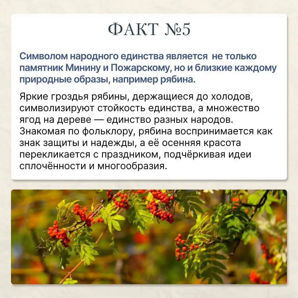 4-9.11 Лента новостей