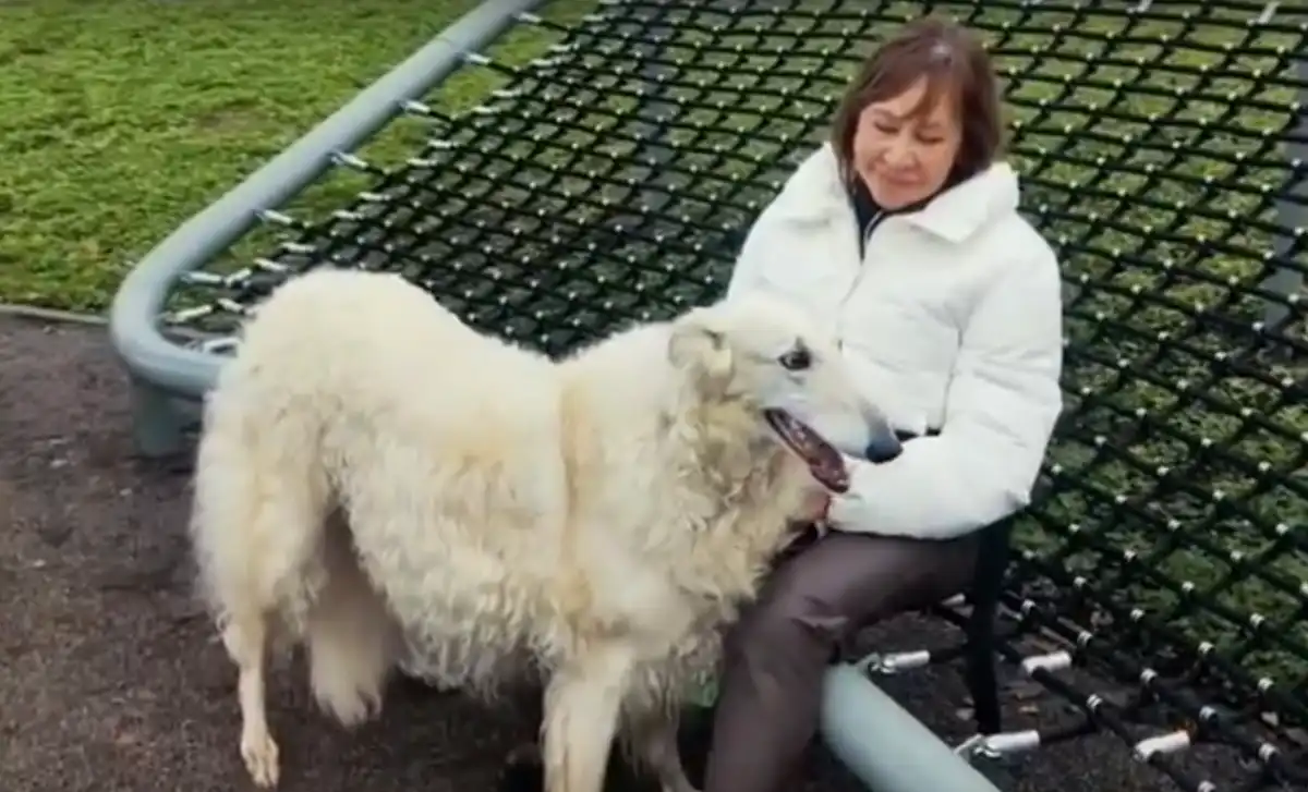 4-9.11 Лента новостей