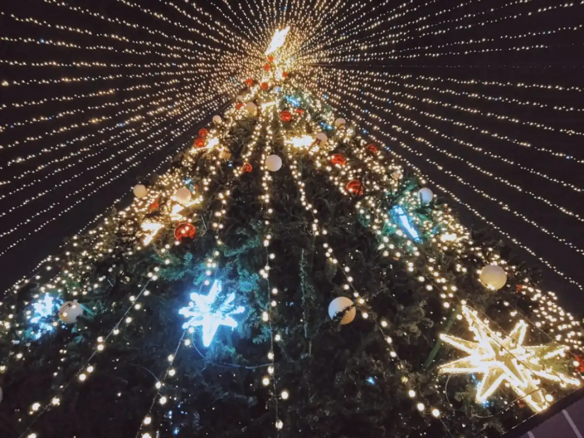 10-16.11.2025 Лента новостей