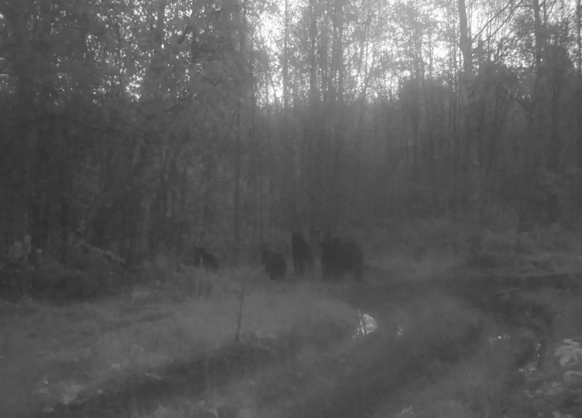 10-16.11.2025 Лента новостей