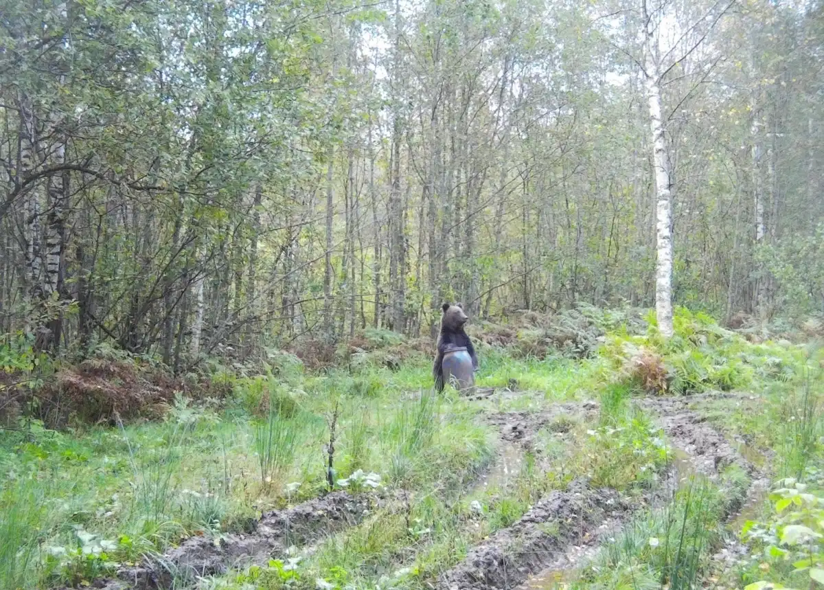 10-16.11.2025 Лента новостей