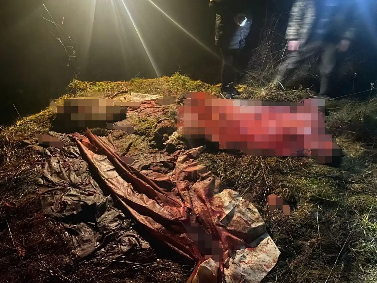 10-16.11.2025 Лента новостей