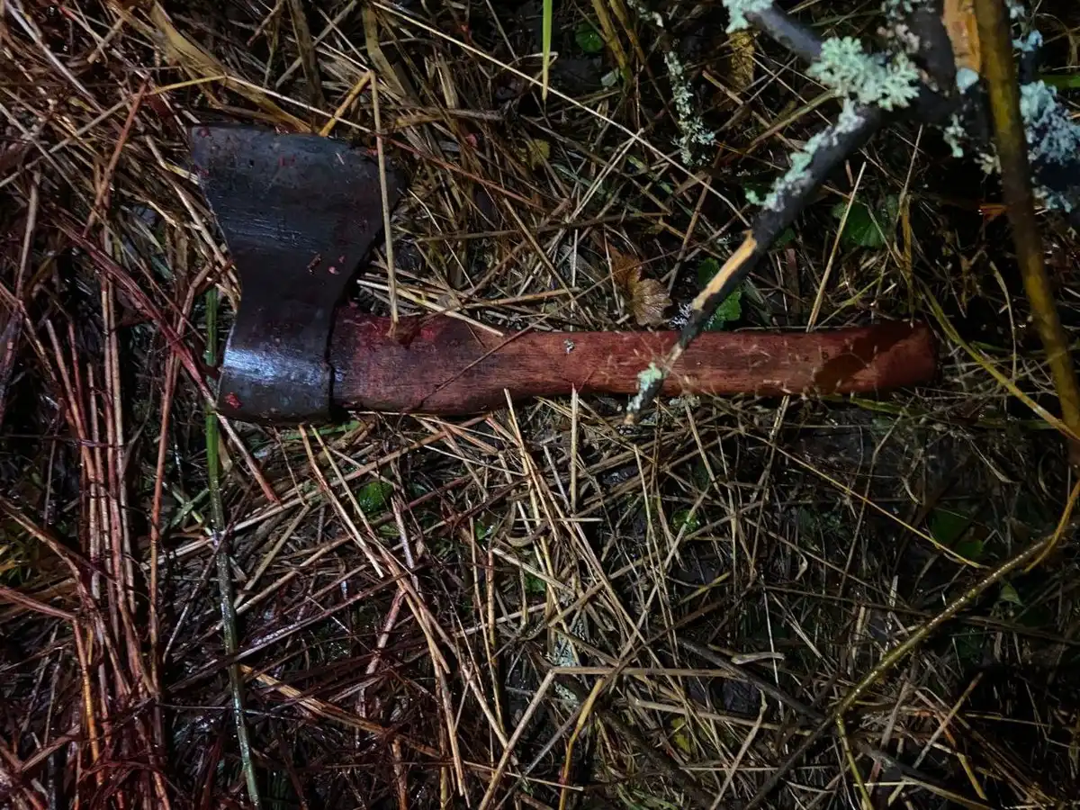 10-16.11.2025 Лента новостей