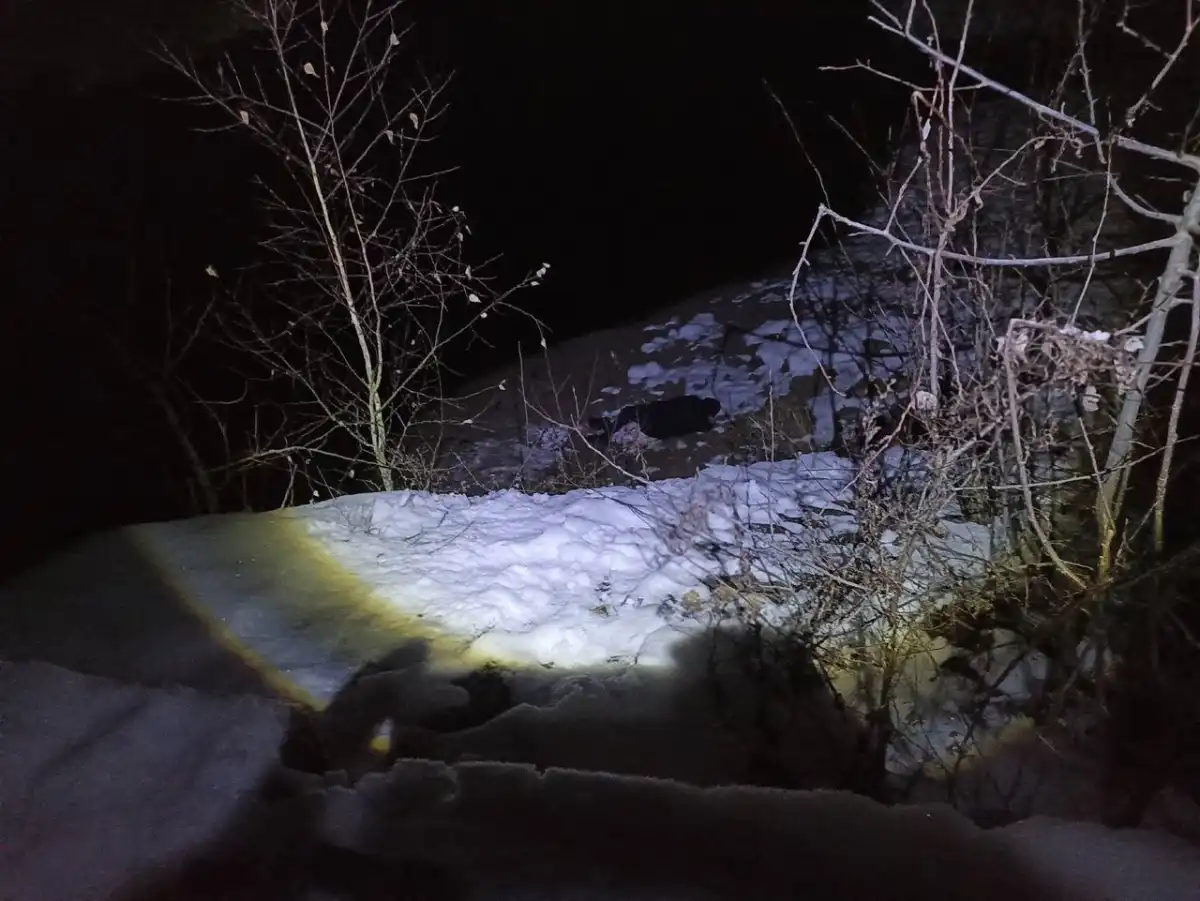 24-30.11.2025 Лента новостей