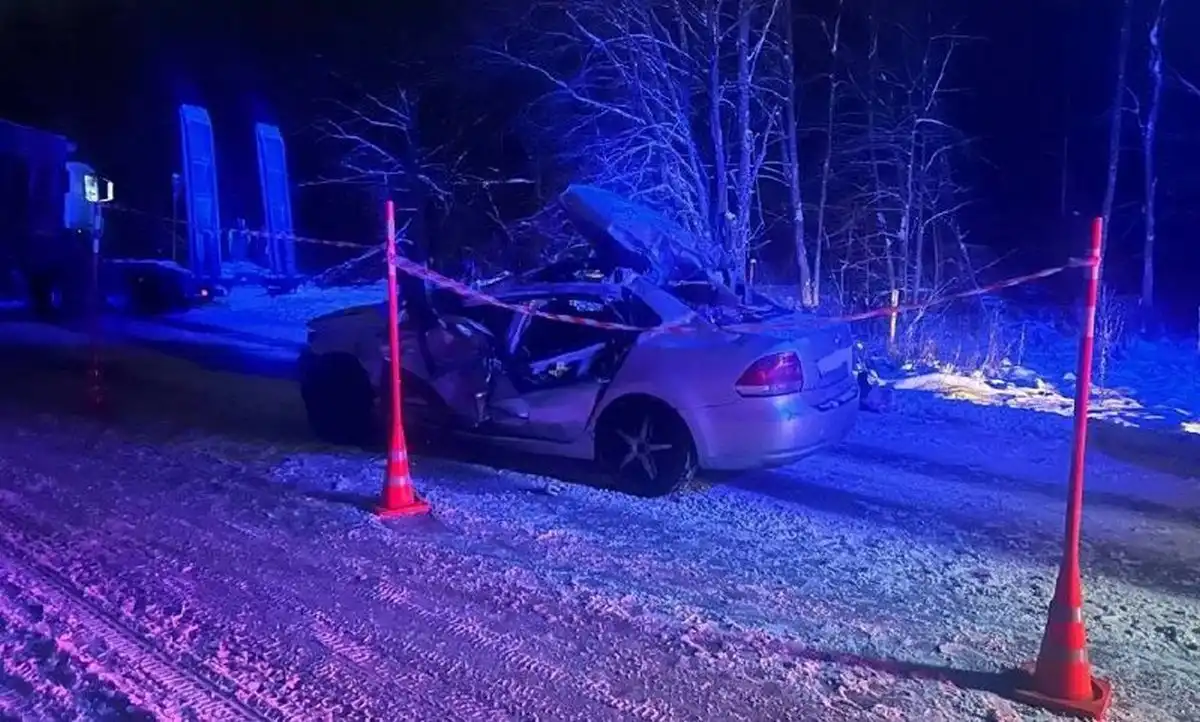 24-30.11.2025 Лента новостей