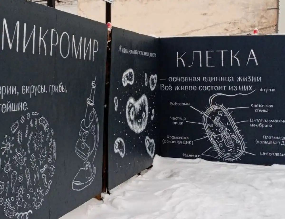 24-30.11.2025 Лента новостей