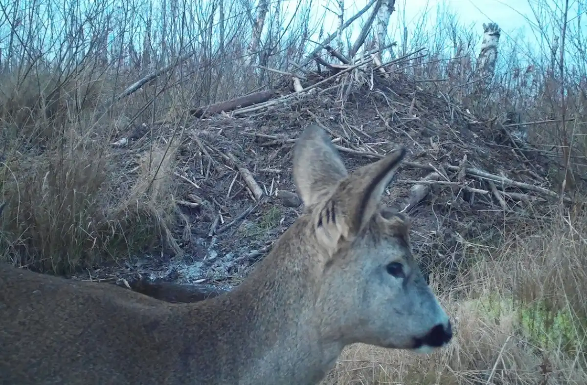 24-30.11.2025 Лента новостей