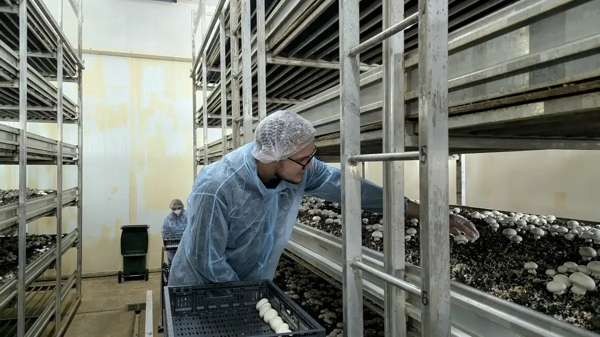 1-7.12.2025 лента новостей