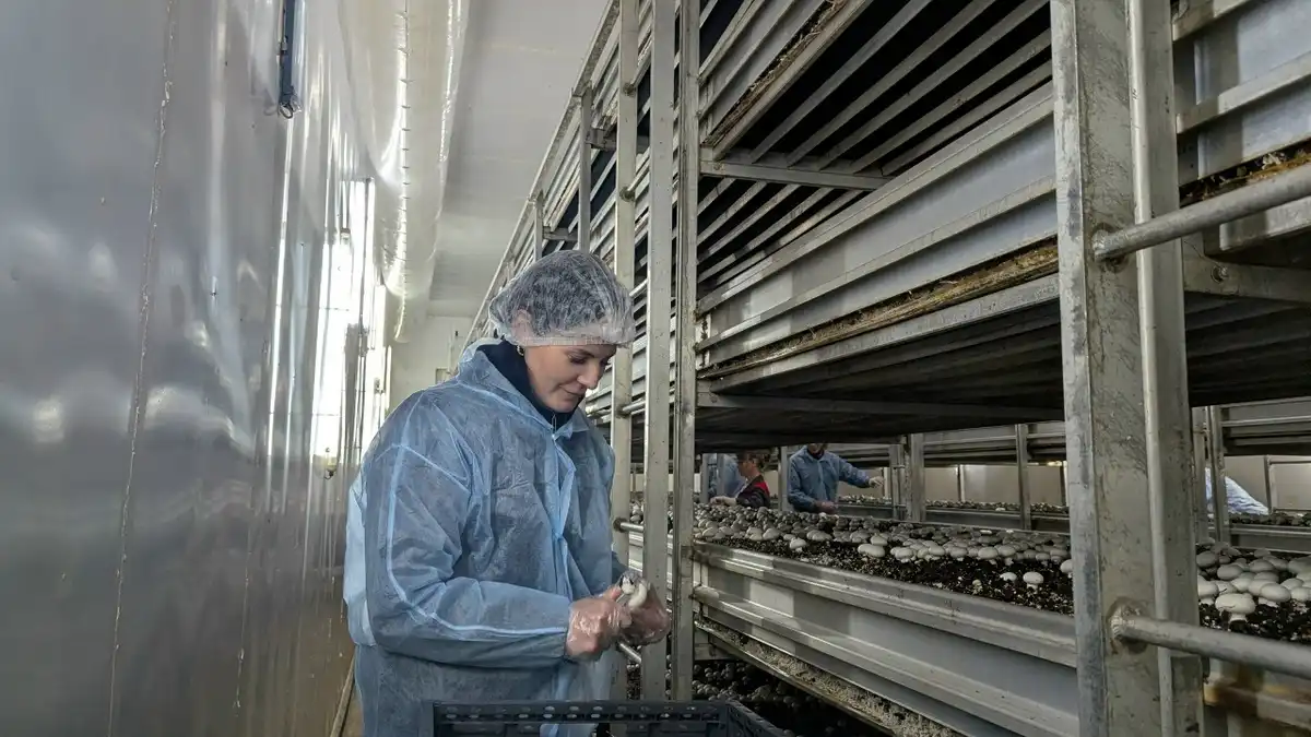 1-7.12.2025 лента новостей