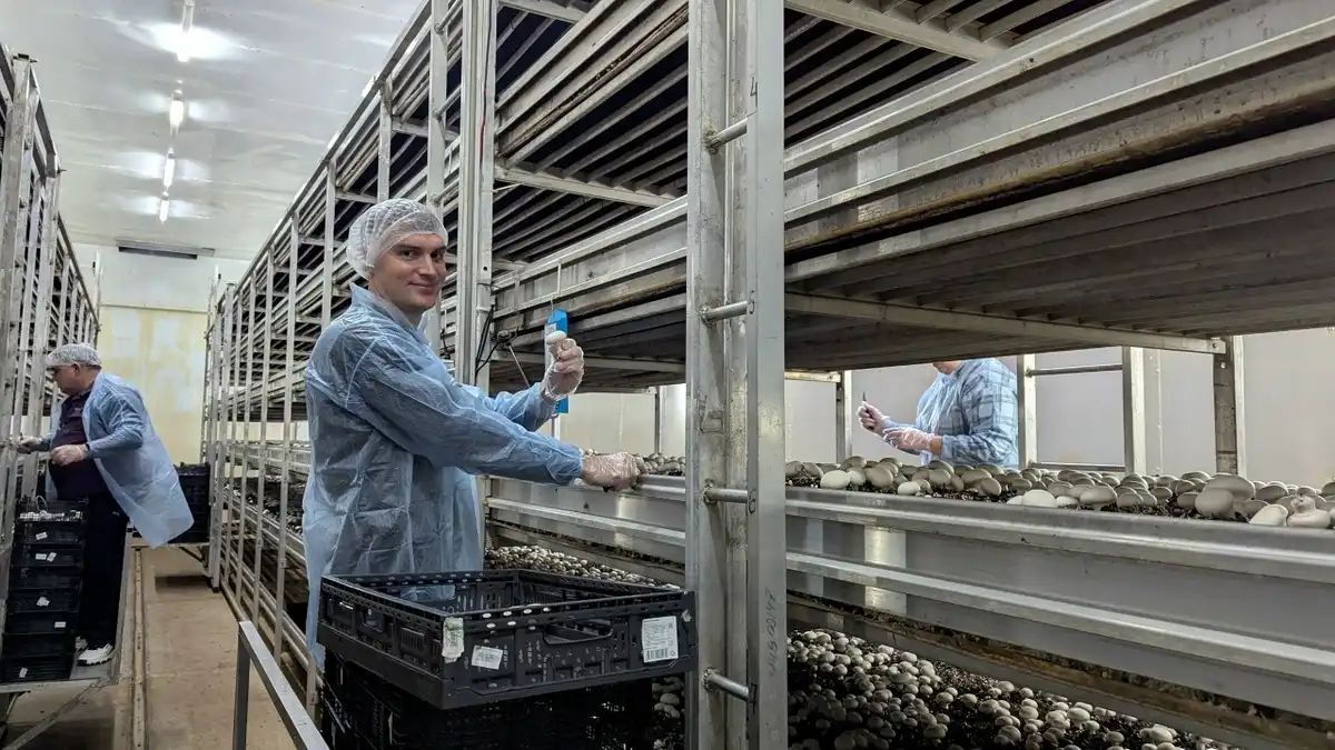 1-7.12.2025 лента новостей