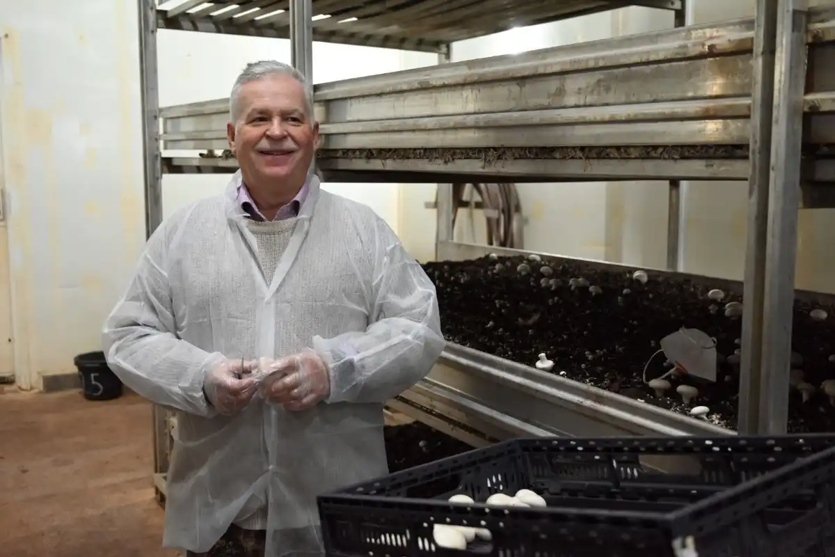 1-7.12.2025 лента новостей