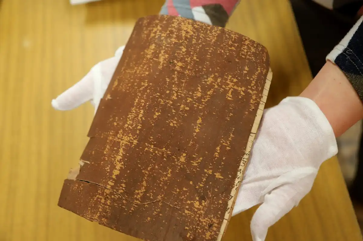 1-7.12.2025 лента новостей