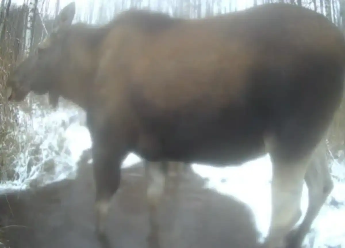 8-14.12.2025 Лента новостей