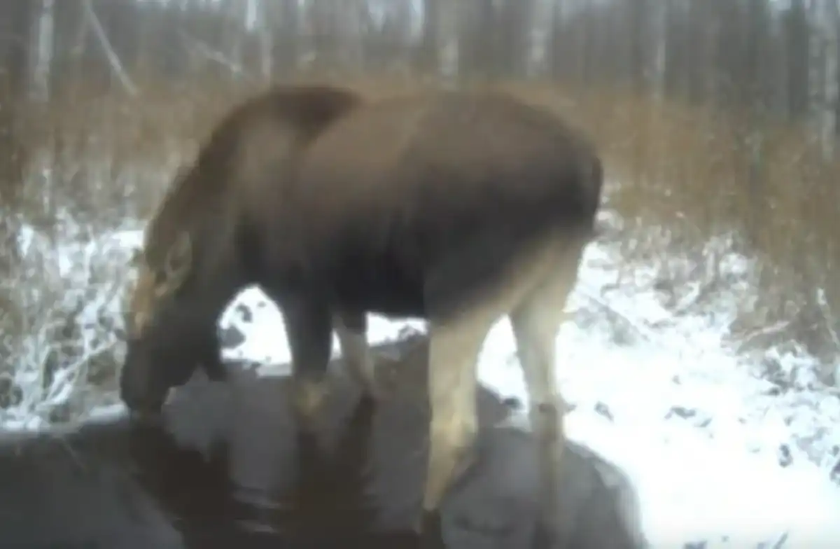8-14.12.2025 Лента новостей