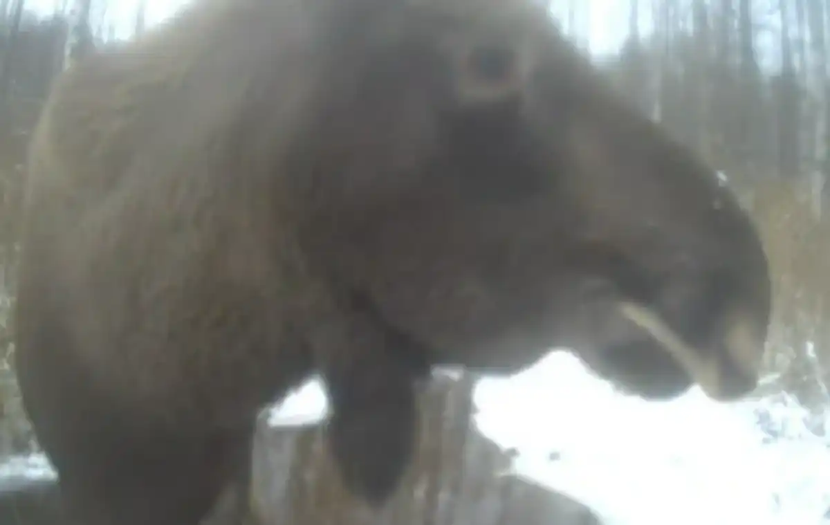 8-14.12.2025 Лента новостей