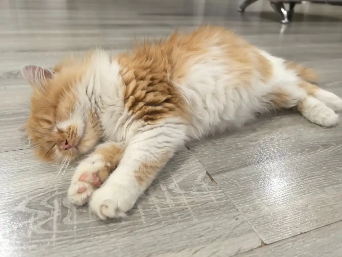 8-14.12.2025 Лента новостей