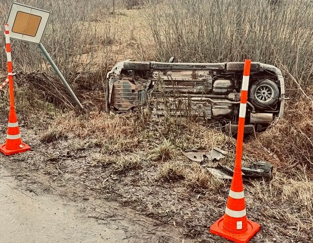 8-14.12.2025 Лента новостей
