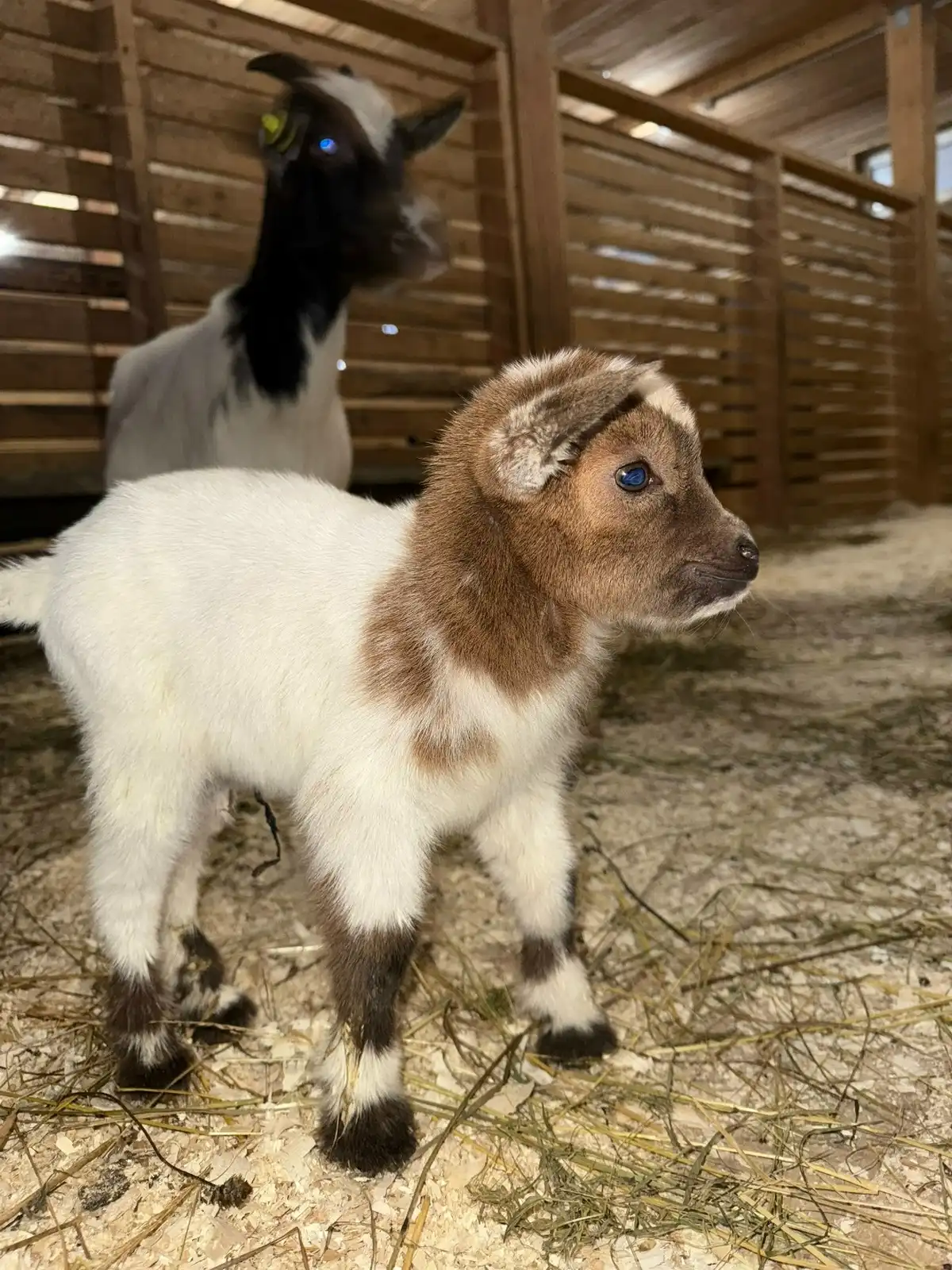 8-14.12.2025 Лента новостей