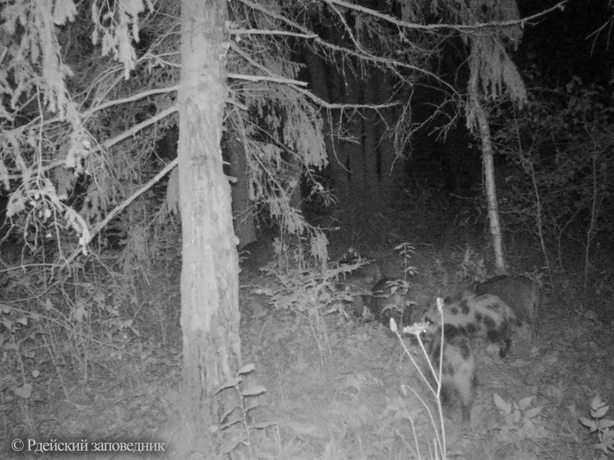 15-21.12.2025 Лента новостей