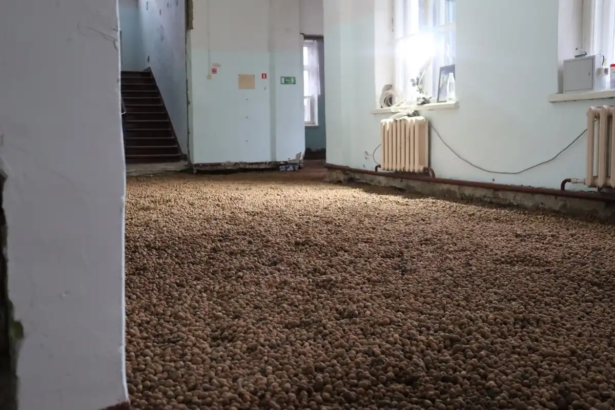 15-21.12.2025 Лента новостей