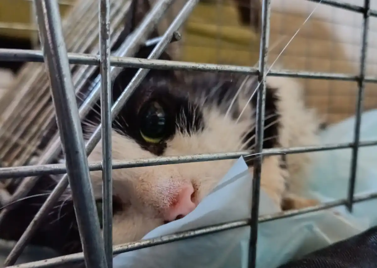 15-21.12.2025 Лента новостей