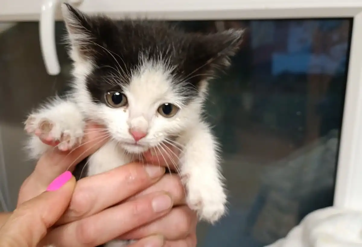 15-21.12.2025 Лента новостей