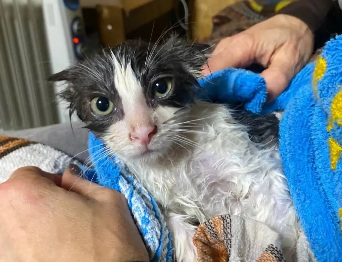 15-21.12.2025 Лента новостей