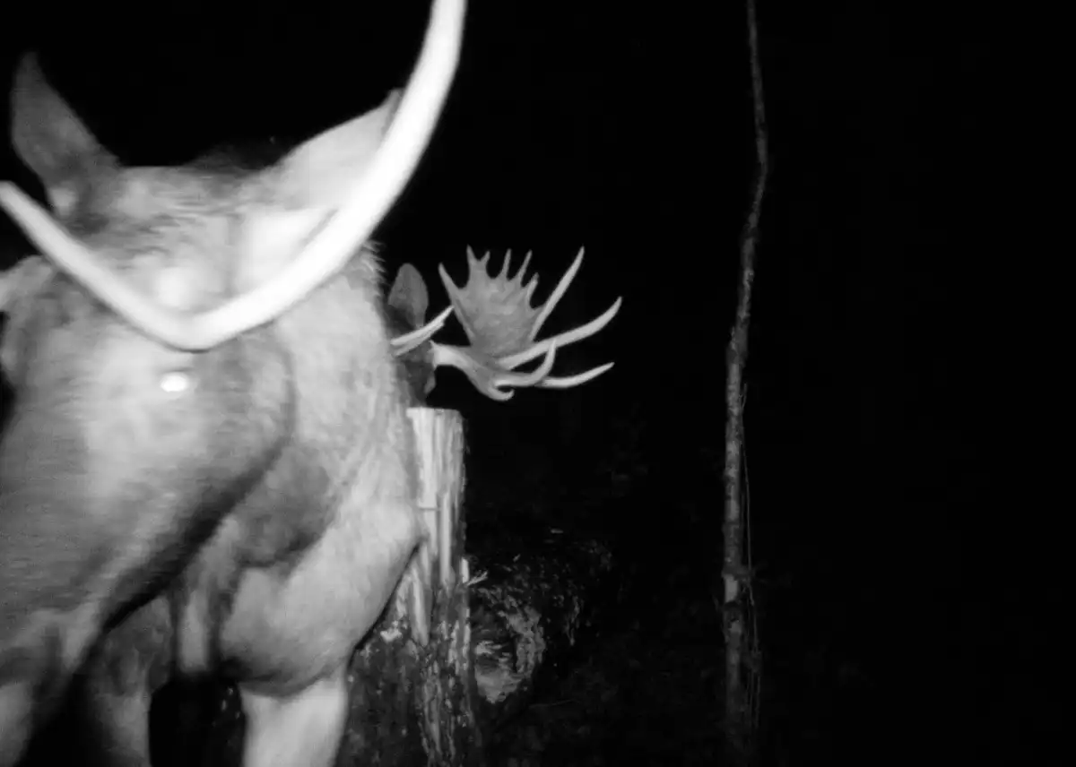 29.12.2025-4.01.2026 Лента новостей