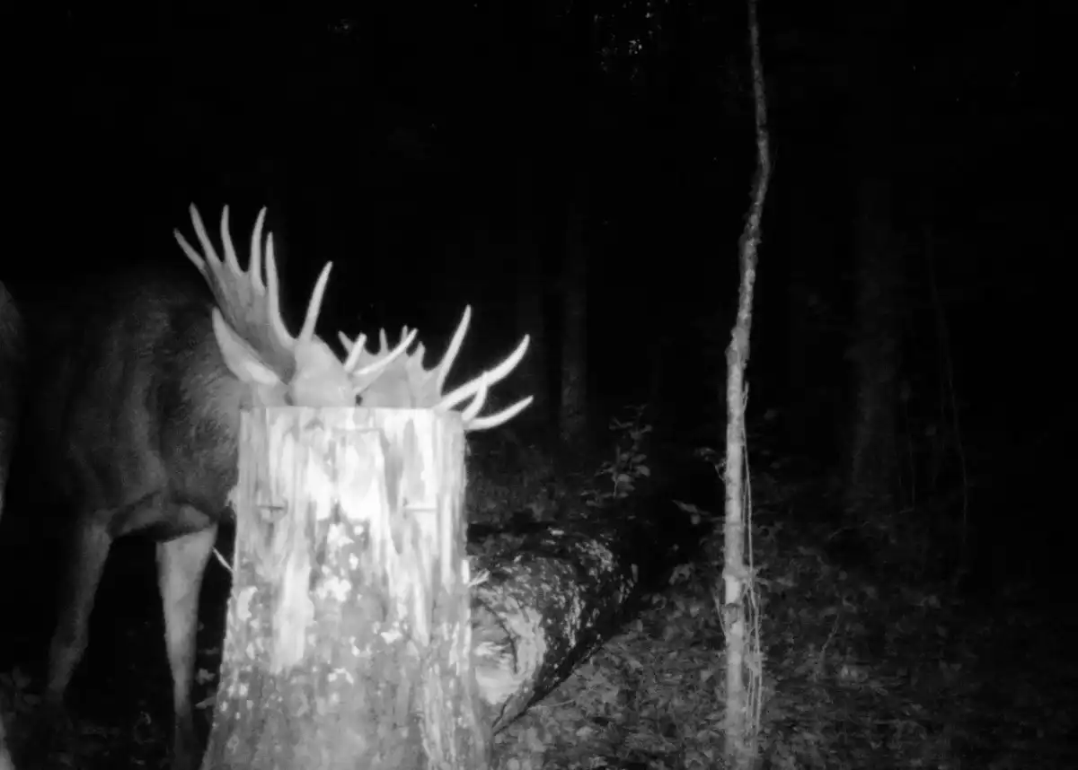 29.12.2025-4.01.2026 Лента новостей