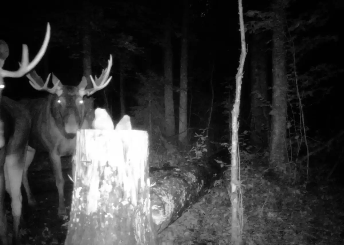 29.12.2025-4.01.2026 Лента новостей