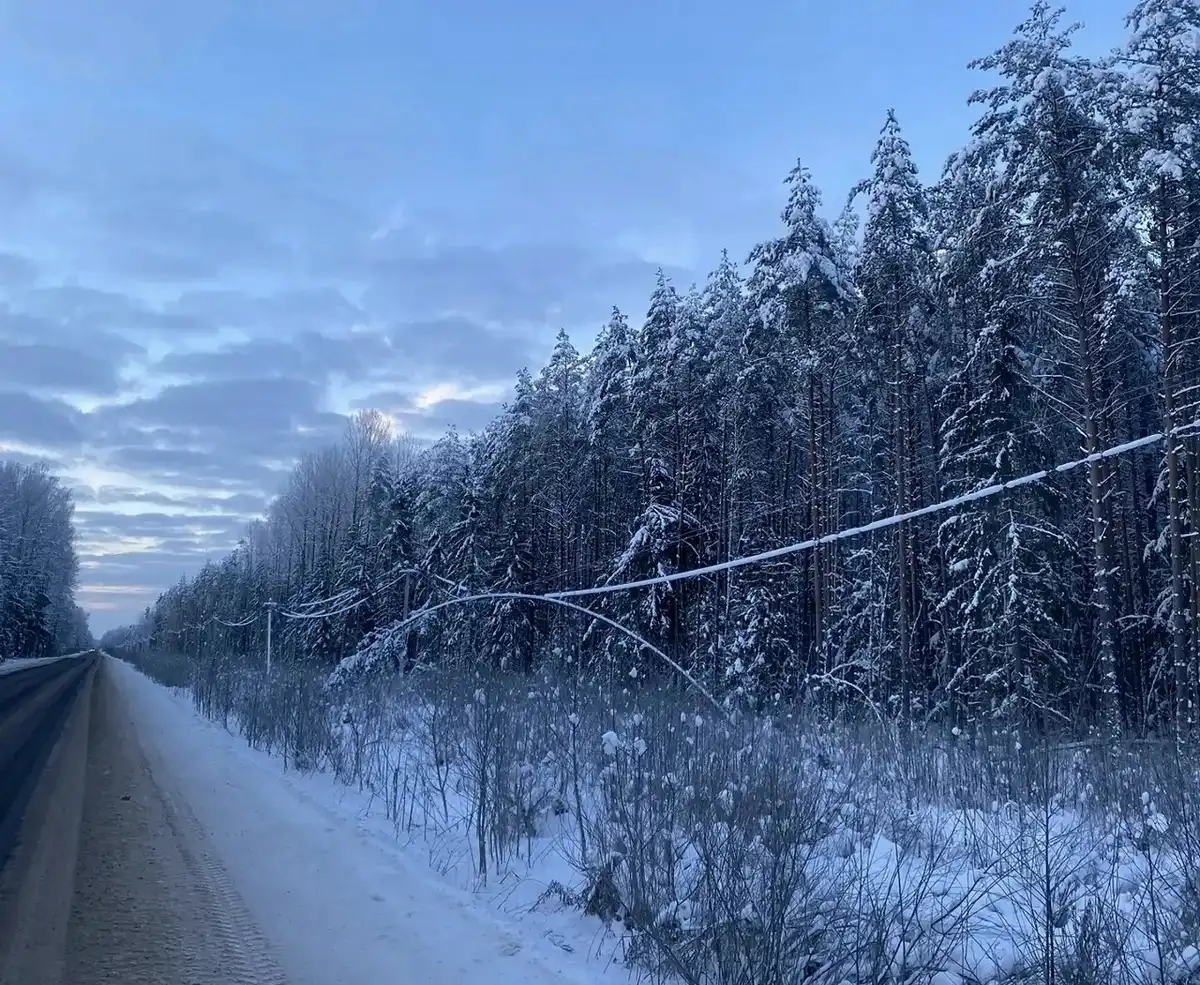 5-11.01.2026 Лента новостей