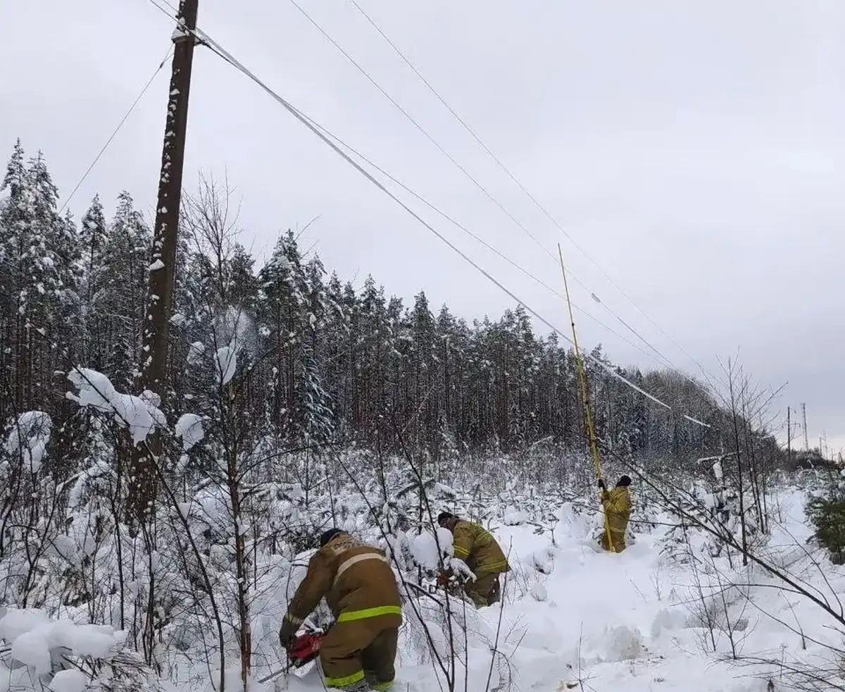 5-11.01.2026 Лента новостей