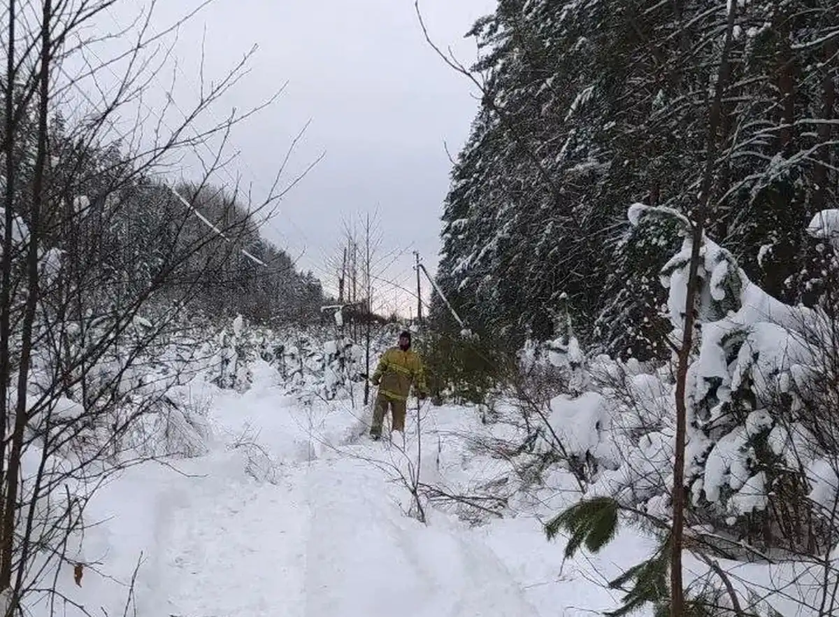 5-11.01.2026 Лента новостей