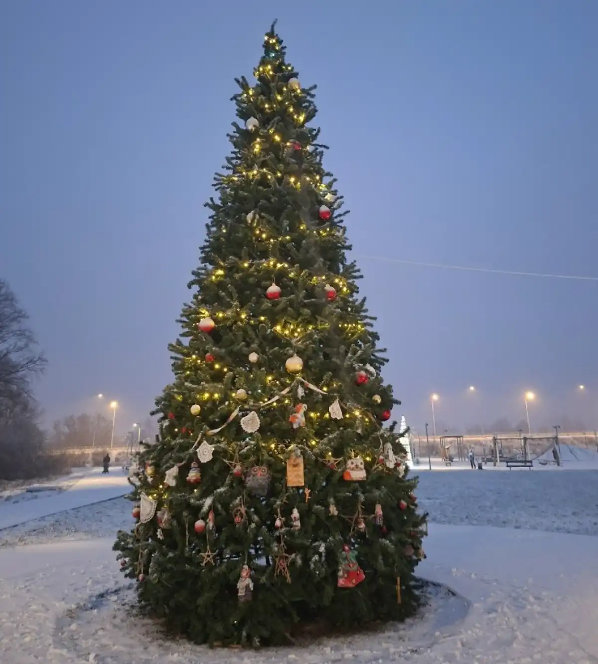 12-18.01.2026 год