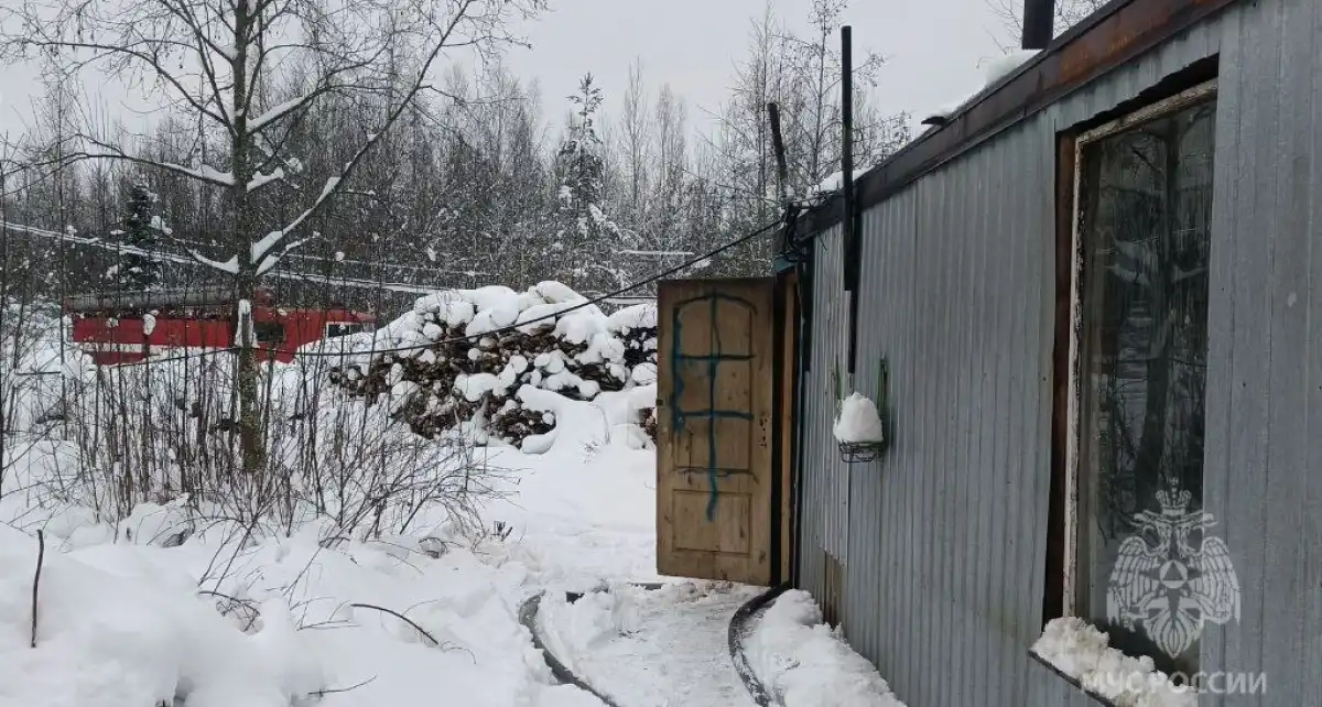 12-18.01.2026 год