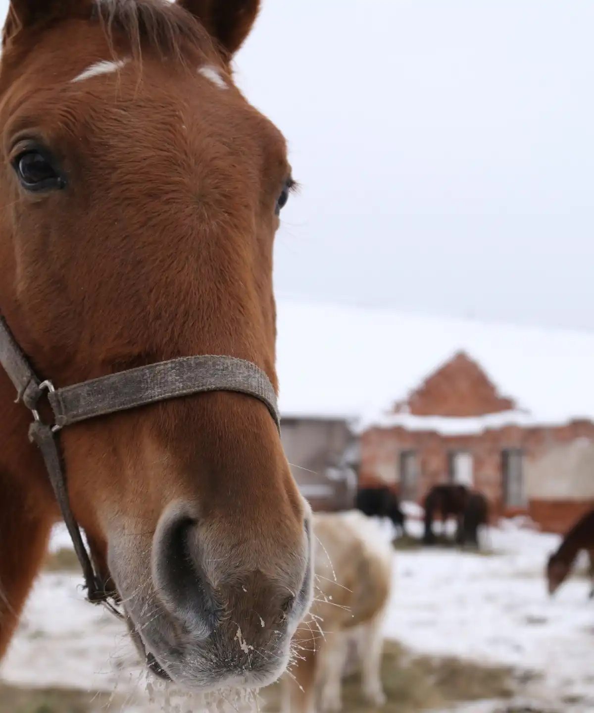 19-25.01.2026 Лента новостей