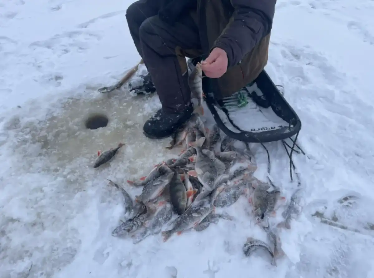 19-25.01.2026 Лента новостей