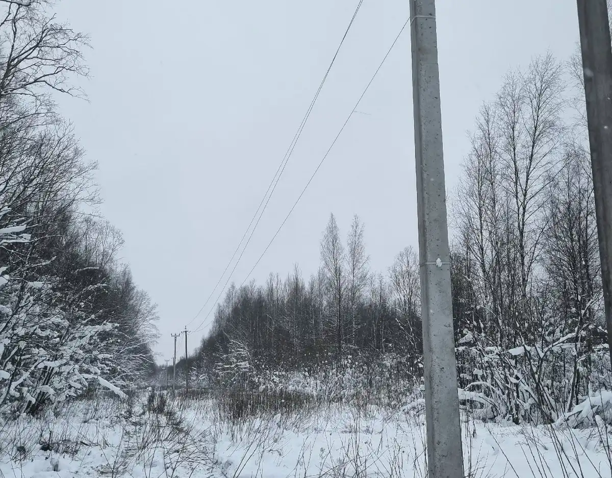 19-25.01.2026 Лента новостей