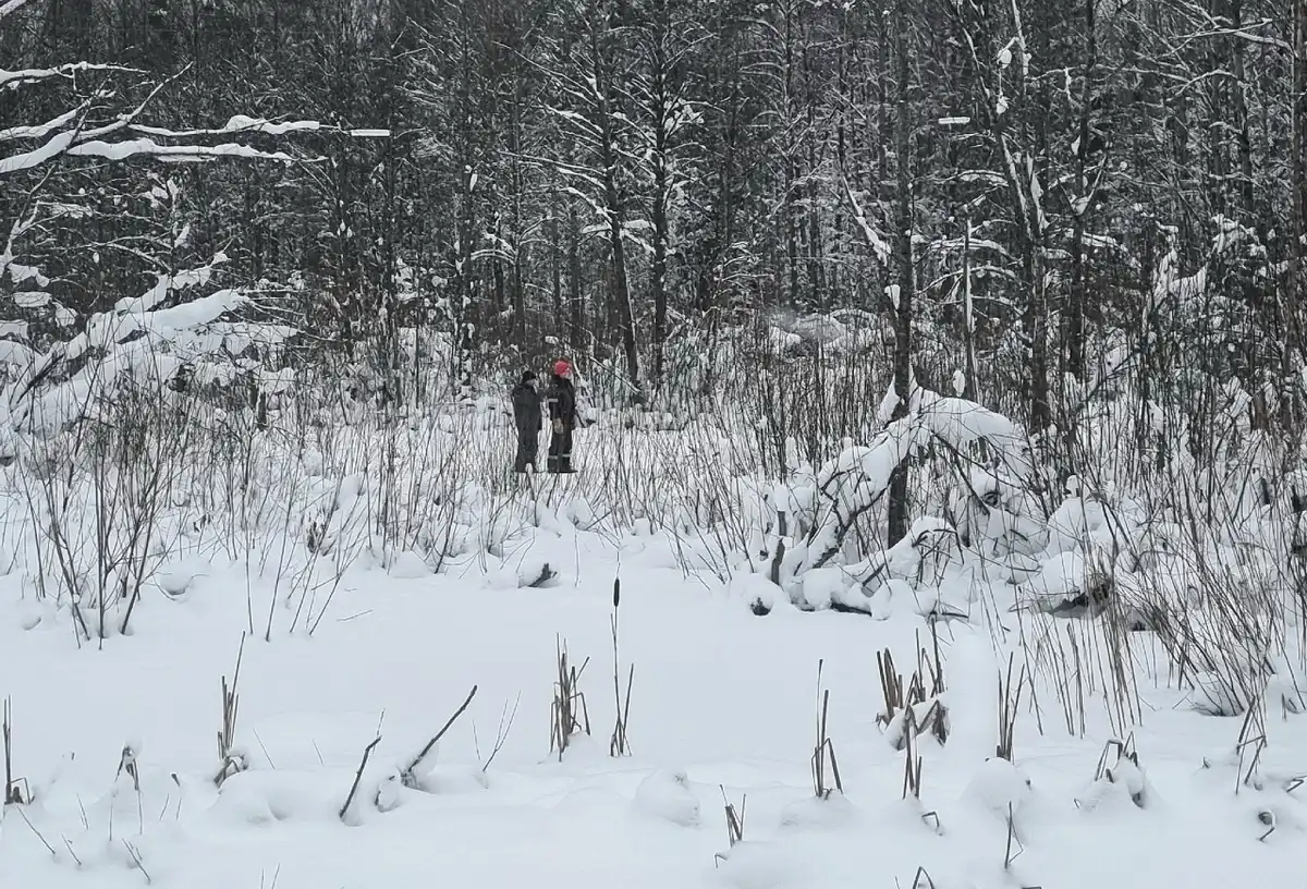 19-25.01.2026 Лента новостей
