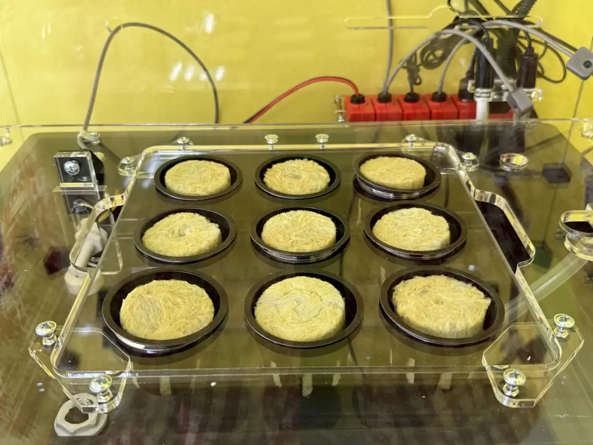 26.01-1.02.2026 Лента новостей
