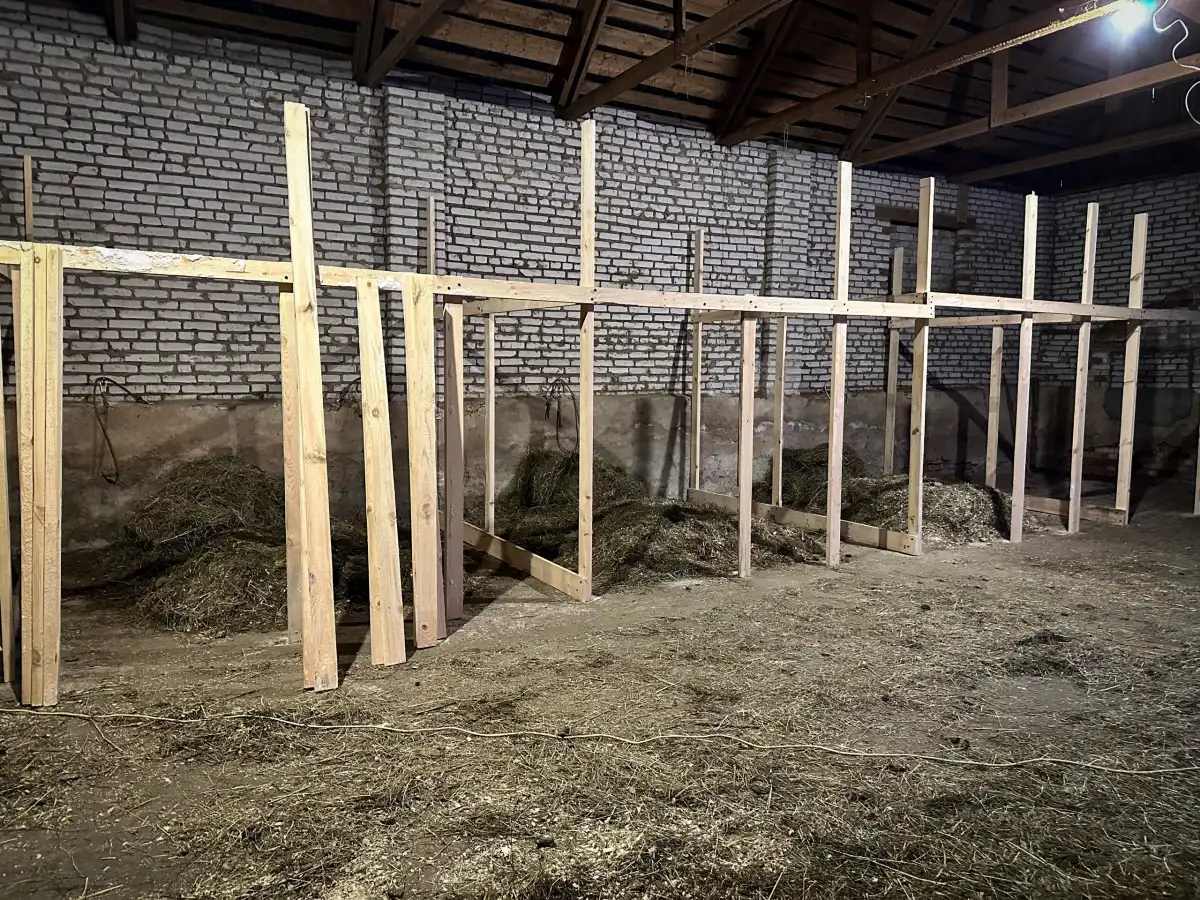 26.01-1.02.2026 Лента новостей