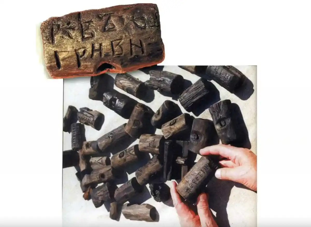 09-15.02.2026 Лента новостей