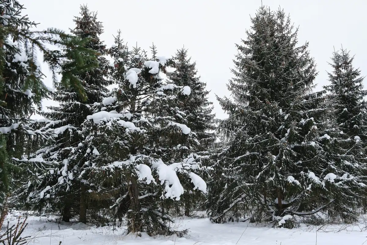 09-15.02.2026 Лента новостей