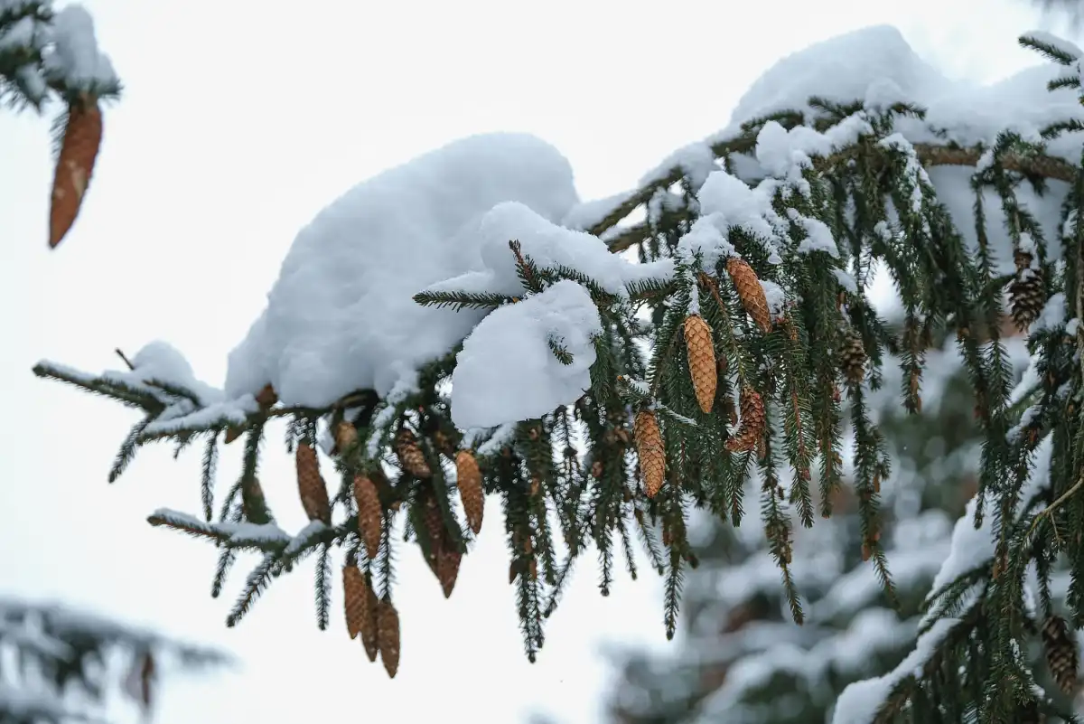 09-15.02.2026 Лента новостей