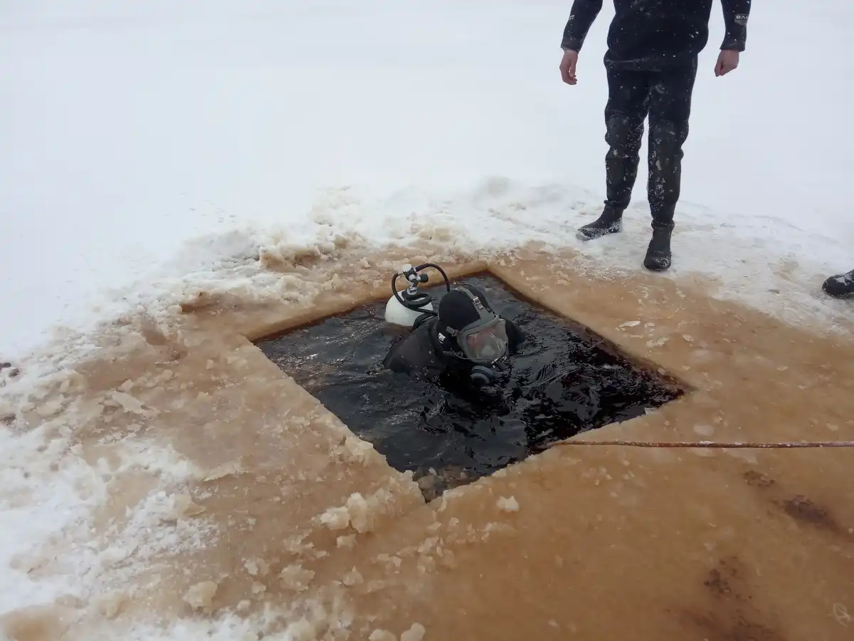 16-22.02.2026 Лента новостей