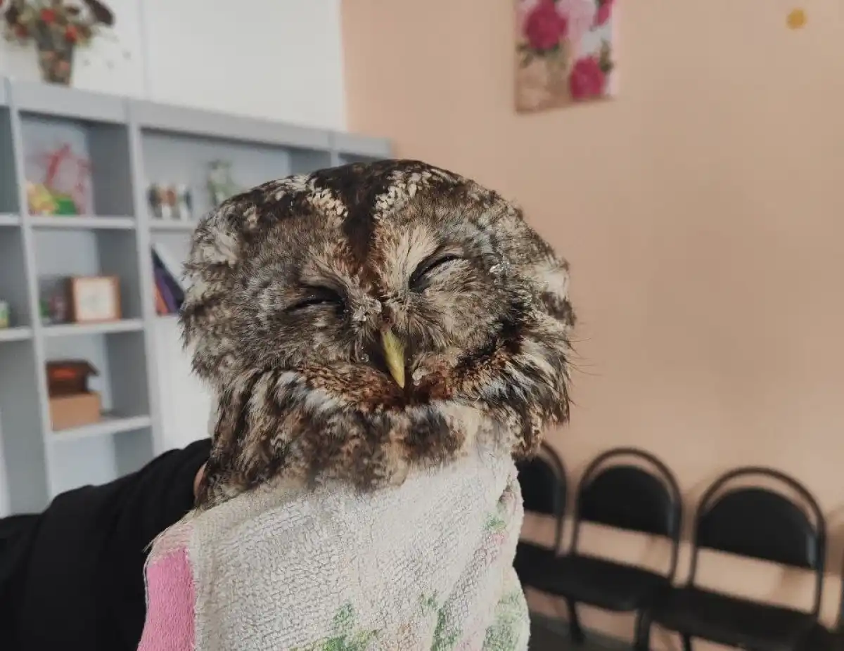 23.02-1.03.2026 Лента новостей