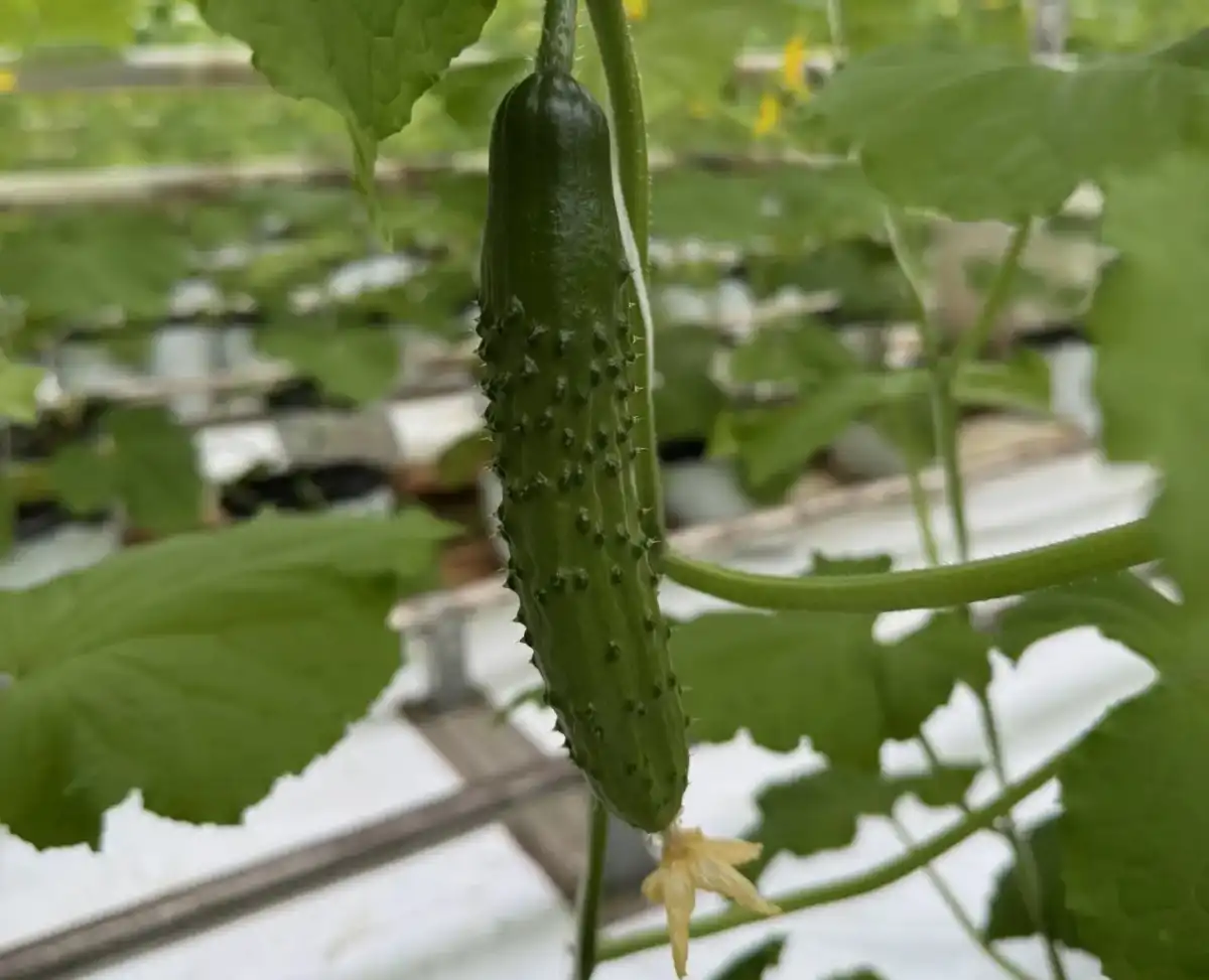 23.02-1.03.2026 Лента новостей