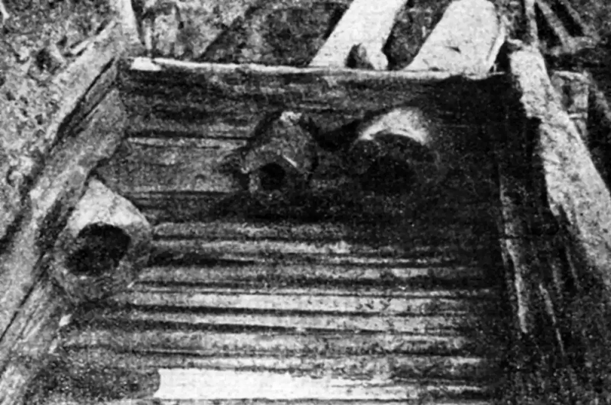 2-8.03.2026 Лента новостей